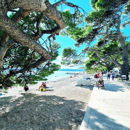 Lejlighed Beachview